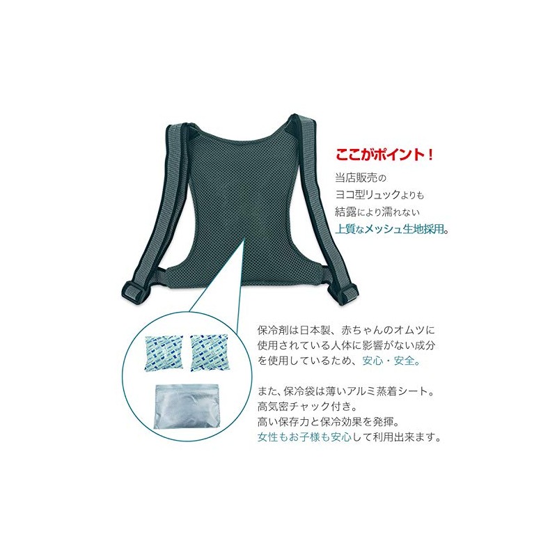 Denko Home Ice Ruck, Vertical Type, Includes 2 Ice Packs,