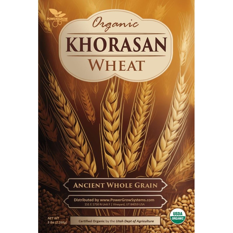 Khorasan Wheat Berries - 100% Certified Organic Khorasan Whole Wheat
