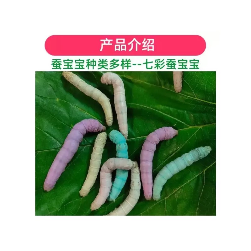 수술후 안대 의료용 보호 눈 플라스틱 방수 안대 투명 5개