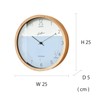 Interform Wall Clock Radio Clock CL-3027 Fiscliv Fish 25 Diameter