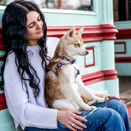 WOLFGANG/Wolfgang MixTape Leash (L Size) Width 1.0 x Length 72.0 inches (2.5 cm) x Length 72.0 inches (183 cm) [Medium and Large Dog Lead]