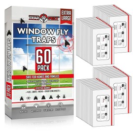 Window Fly Traps Indoor Clear (60 Pack) - Fly Window Traps for Indoors Sticky, Indoor Fly Trap Non-Toxic Fly Strips for Windows - Fly Sticky Traps Indoor Fly Paper Indoor Bug Sticky Traps (8.25" x 5")