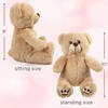 LotFancy Teddy Bear Stuffed Animal, 25cm Brown Baby Bear Plush