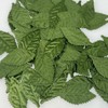 Woohome 150 PCS Artificial Silk Green Leaves Fabric Fake Leaves