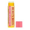 Paquete doble de bálsamo labial hidratante de pomelo rosa