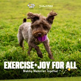 Gnawsome Dog Toys - 2.5-Inch Spiky Squeaker Basketball - Small - Dental & Gum Wellness - Stimulating Fun - Hidden Squeaker - Durable for Heavy Chewers - 100% BPA-Free - Assorted Colors