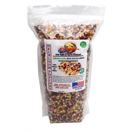 Heirloom Multi-colored Popcorn Kernels • 7 LB • Non-GMO • USA Grown • Low Calorie High Fiber Snack • Perfect Movie Night • All Natural, Vegan, Gluten Free, KOSHER • INTL POP