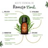 OLEUM VITAE Kit de Aceites Esenciales Balance. 100% Puros y