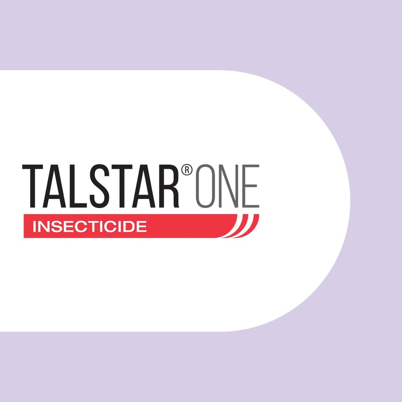 Talstar One Insecticide 1 Gallon | Powerful Bifenthrin Bug Spray