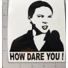 Egl How Dare you ! Greta, funny, meme ,Decal, drift