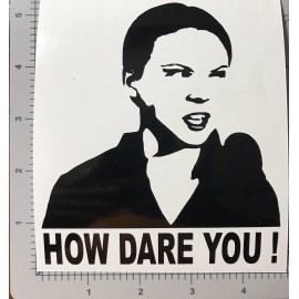 Egl  How Dare you ! Greta,  funny, meme ,Decal, drift , jdm, car,sticker,wi