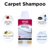 Ewbank Carpet Cleaning Kit with Manual Shampooer, Brush, and Solution