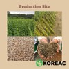 KOREAC_ 한국 참기름 Korean Mildly Roasted Pure Sesame Oil 180ml