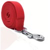 TAIAN 4FT/5FT/6FT Strong Dog Leash, Nylon Dog Leashes for Small