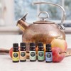 Stuffy Nose & Sinus Relief Essential Oil Blend- Best For