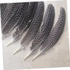 Operitacx 50pcs Pheasant Feathers Party Decor Natural Feathers Decorate Fan