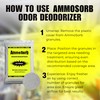 AMMOSORB Natural Ammonia Smell Eliminator Deodorizing Granules: 50 lb.