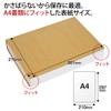 Plus Flat File Thick Bound 1000 A4 Craft 10 Pack