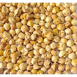 Paneer DODI | Indian Rennet | Paneer Doda | Withania coagulans 100gram