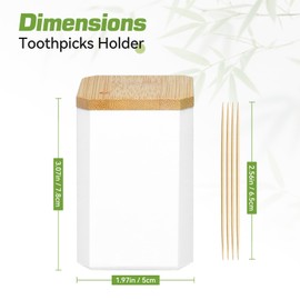 Toothpick Holders 1 Pack with 600 Picks,Round Toothpicks Double-Side Point for Teeth,Food Pick,Appetizers,Cocktails Fruits,Olive&DIY Craft.