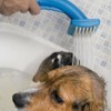 Pet Zoom Bath and Groom Brush for Dogs