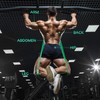 TheFitLife Resistance Pull Up Bands - Pull-Up Assist Exercise Bands,