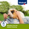 Vitakraft Guinea Pig Fruit & Honey Treat Sticks 2 Pack,