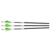 Excalibur ProFlight Illuminated Archery Hunting Durable Accurate Versatile 2" Blazer