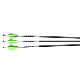 Excalibur ProFlight Illuminated Archery Hunting Durable Accurate Versatile 2" Blazer Vane Crossbow Carbon Arrows with Beacon Nocks - 3 Pack, 20"