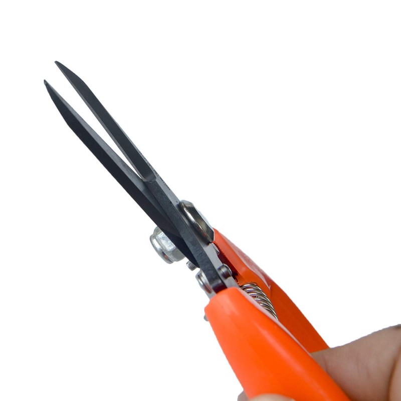 Foot Rot Shears Sheep Hoof Trimming Shear Goat Hooves Trimmers