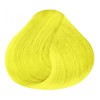 RBL Tinte Para Cabello Rbl Semi Permanente Colores Fantasía 90