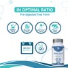 Amino Boost - Full Spectrum 20 Amino Acids Supplement 120