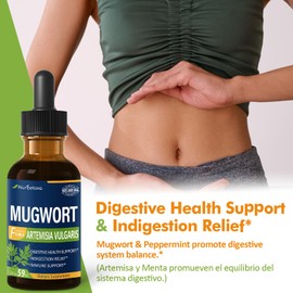 Nurbetoxa Herbal Drops, Natural Mugwort Extract for Digestive Health Support, Indigestion Relief & Immune Support. 2oz