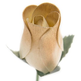 White Roses with Gold Tips Bunch of 8 Closed Bud Wooden Roses for Crafts Custom Bouquets and Other DIY Projects. Choose Form Over 60 Colors.