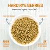 Rye Berries for Mushroom Spawn - Organic, Triple Washed Rye