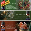 BlissfulBlend Winter Essential Oils Gifts Set 6 Pack Oil of