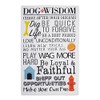 DII Everyday Pets Kitchen Collection Absorbent Dishtowel Set, 18x28, Dog