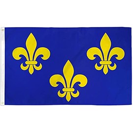 Fleur De Lis Flag 3x5 French Fleur Blue White Gold New Orleans Mardi Gras Blue Premium Quality Fade Resistant Flag Banner