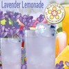 Lavender Lemonade Drink Mix (8 oz, Lavender Lemonade)