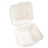 Peohud 100 Pack Compostable Clamshell Take Out Food Containers, 6