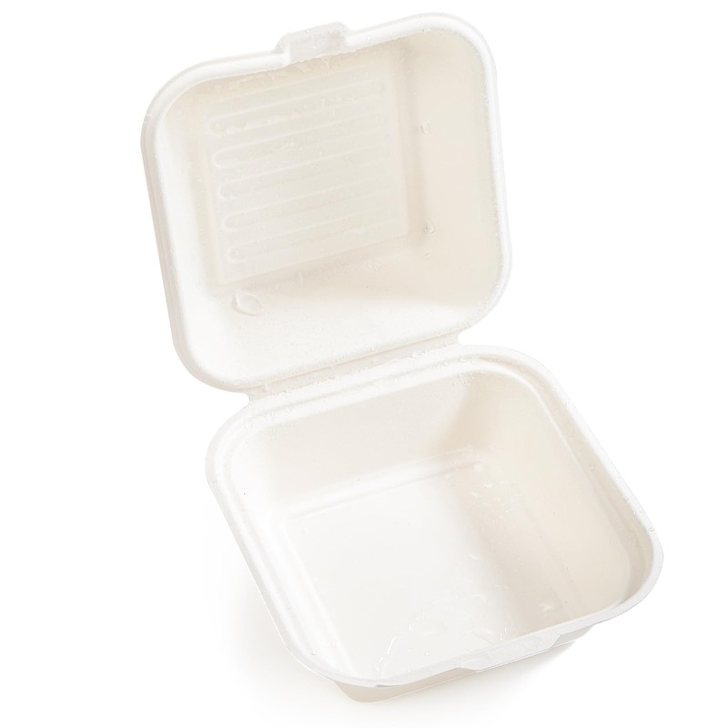 Peohud 100 Pack Compostable Clamshell Take Out Food Containers, 6