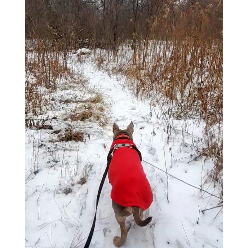 Gooby Stretch Fleece Vest - Red, 5X-Large
