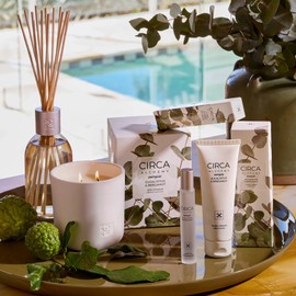 CIRCA Alchemy Energise Scent Oil 10ml - Eucalyptus & Bergamot