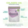 PRONAT | Colágeno Hidrolizado + Ácido Hialurónico, Suplemento Alimenticio, Sabor