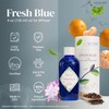 Natscent Fresh Blue Essential Oils for Diffusers for Home, Nature-derived