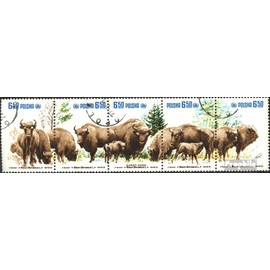 Prophila Collection Poland 2764-2768 Five Strips Complete Edition 1981 Nature Conservation Wisente (Stamps for Collectors) Mammals