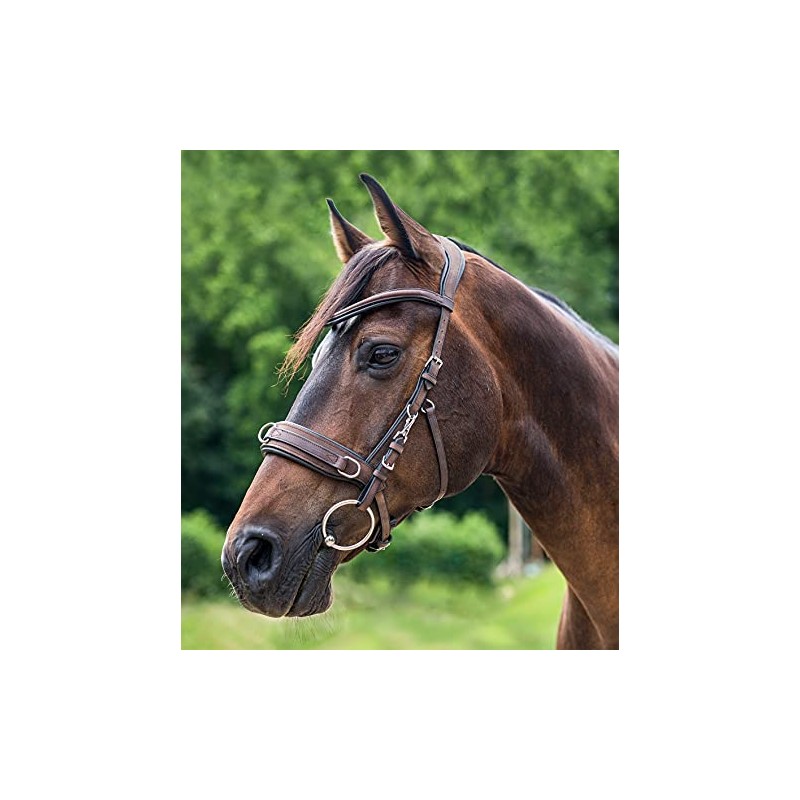 WALDHAUSEN Leather Cavesson Anatomic Brown XWB XWB Brown