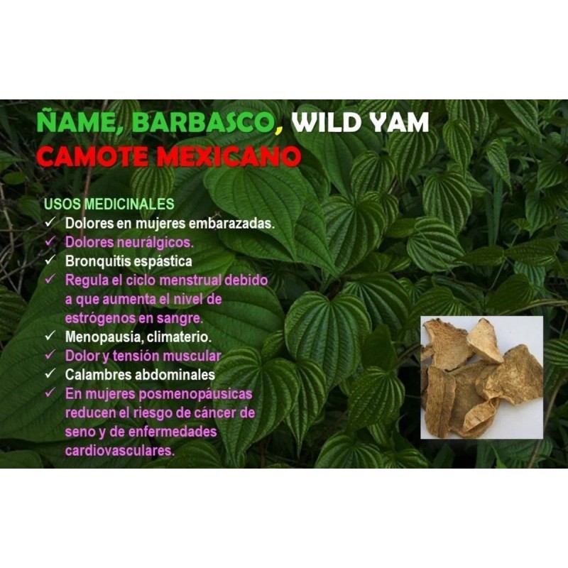 ame Silvestre Barbasco Wild Yam Camote 65 Cap Neutro