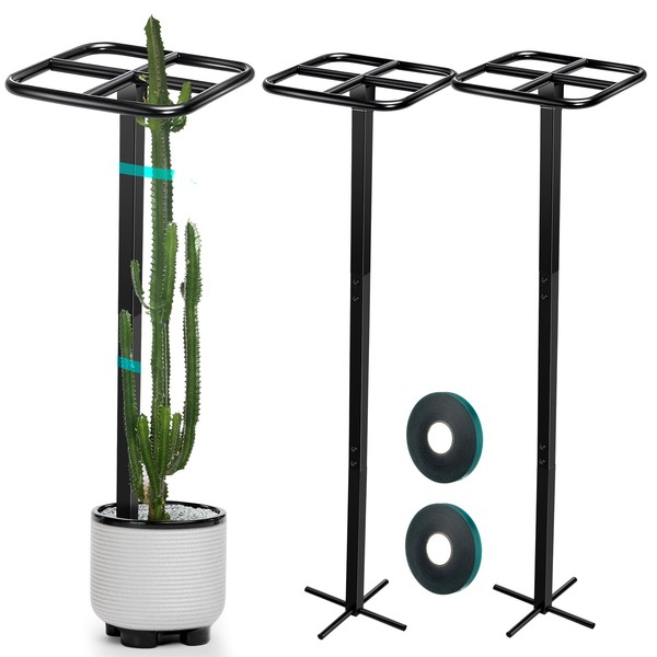 MorningRo 2 Pack Dragon Fruit Trellis Adjustable Metal Garden Plant