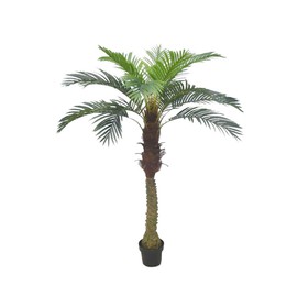 AMERIQUE Gorgeous 6 Feet Cycas Revoluta Sago Palm Tree with Nursery Pot, Real Touch Technology, with UV Protection, Super Quality